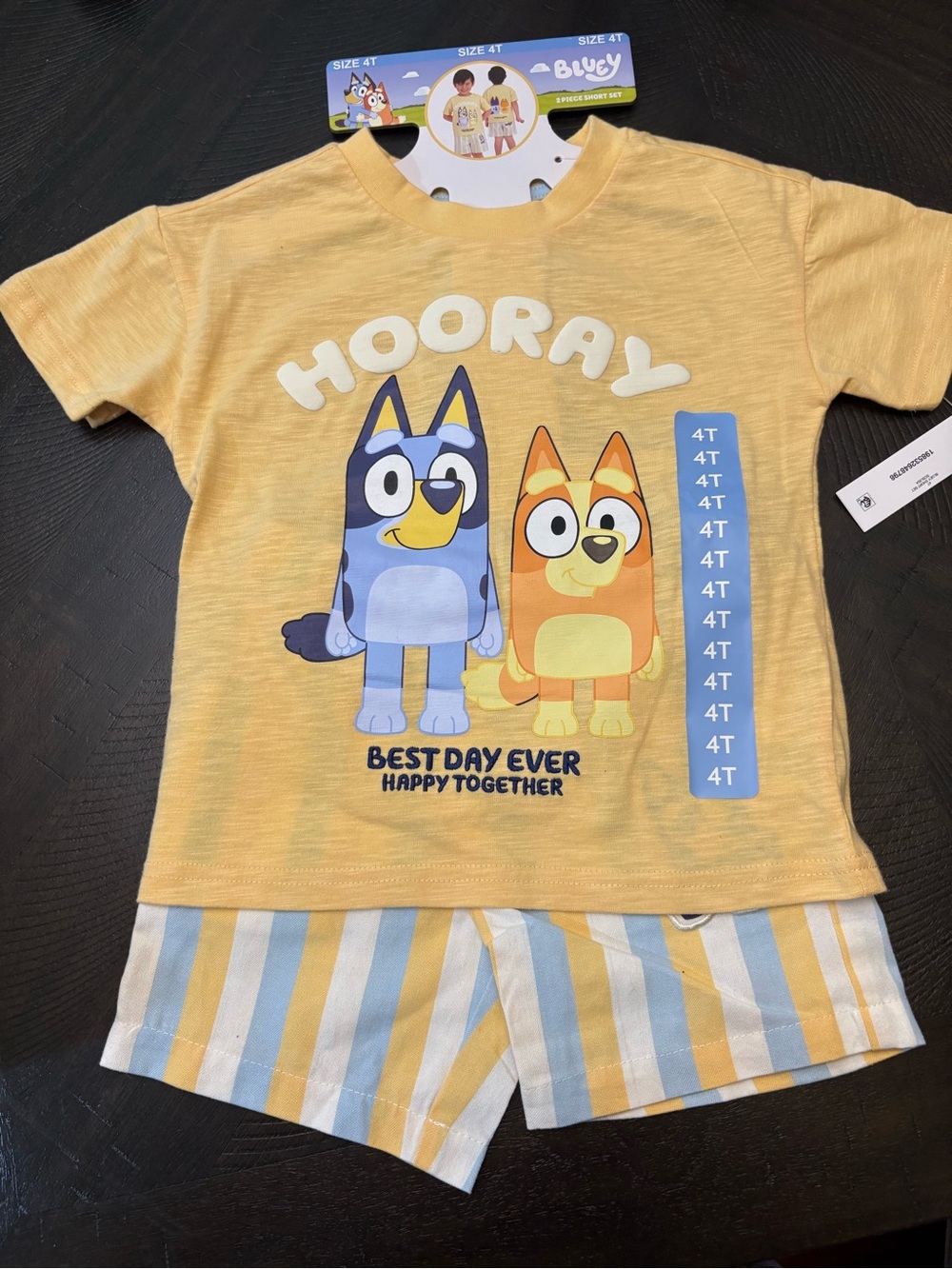 Bluey & Bingo Short Set Boys 4T Outfit NWT